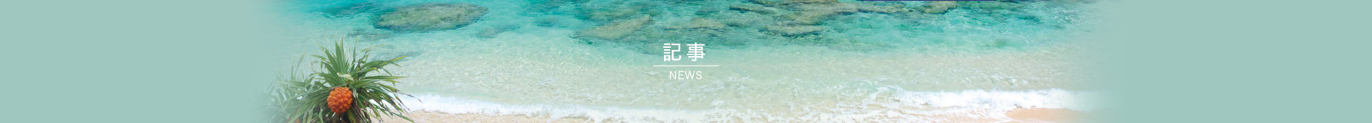 NEWS