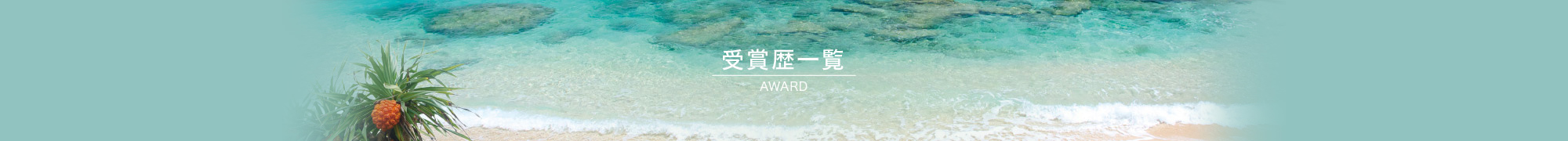 受賞歴一覧